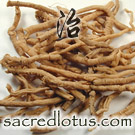 Yuan Zhi (Chinese Senega Root)