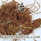 Zi Wan (Purple Aster Root)