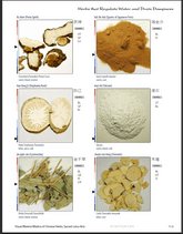 Sample Page of the Visual Materia Medica of Chinese Herbs