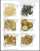 Sample Page of the Visual Materia Medica of Chinese Herbs