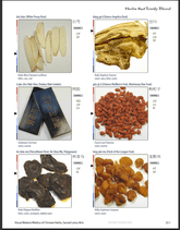 Sample Page of the Visual Materia Medica of Chinese Herbs