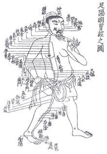 Ancient Acupuncture Channel Drawing