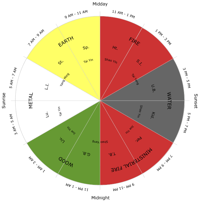 Circadian Qi Flow Cycle in Acupuncture Channels Meridians and Elements