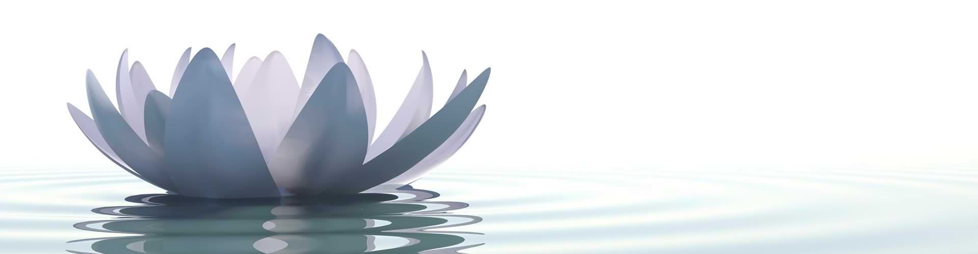 Sacred Lotus Chinese Medicine
