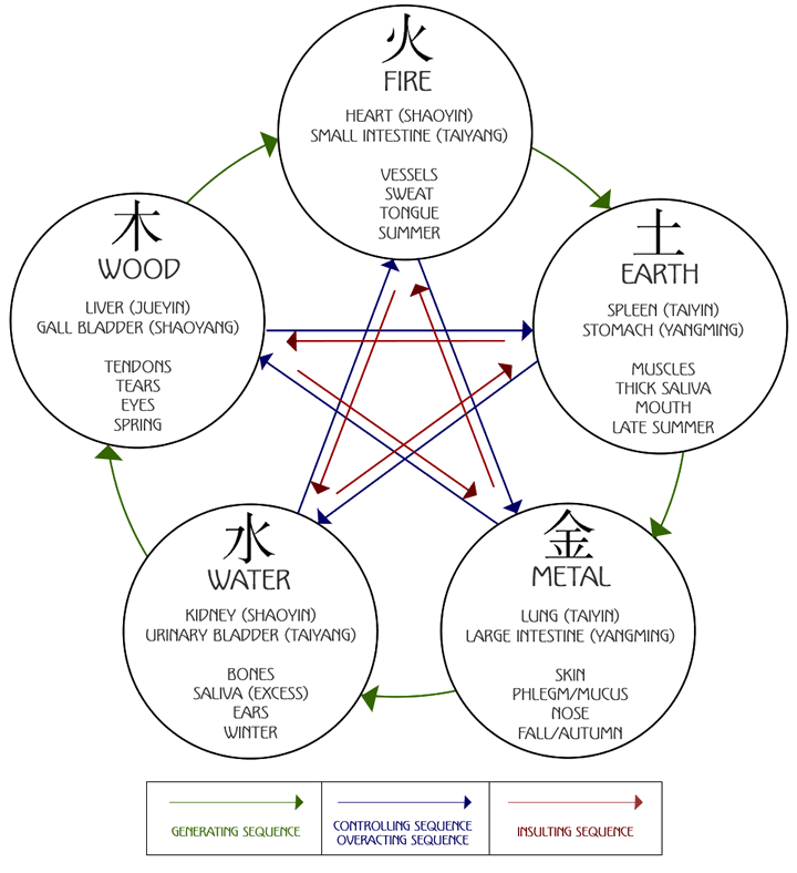 Five Element Cycles