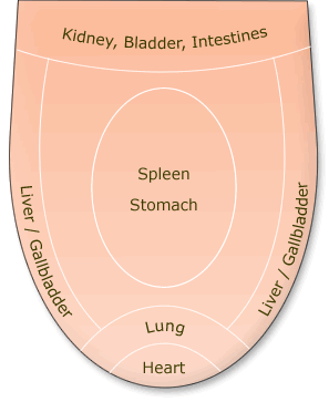 Tcm Tongue Diagnosis Chart