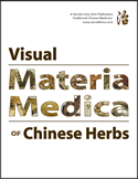 Visual Materia Medica of Chinese Herbs