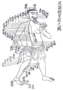 Classical Chinese depiction of a channel and its acupuncture points